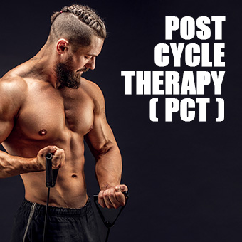Bodytech, Steroid, anabolic, steroid cycle, beginer steroid 